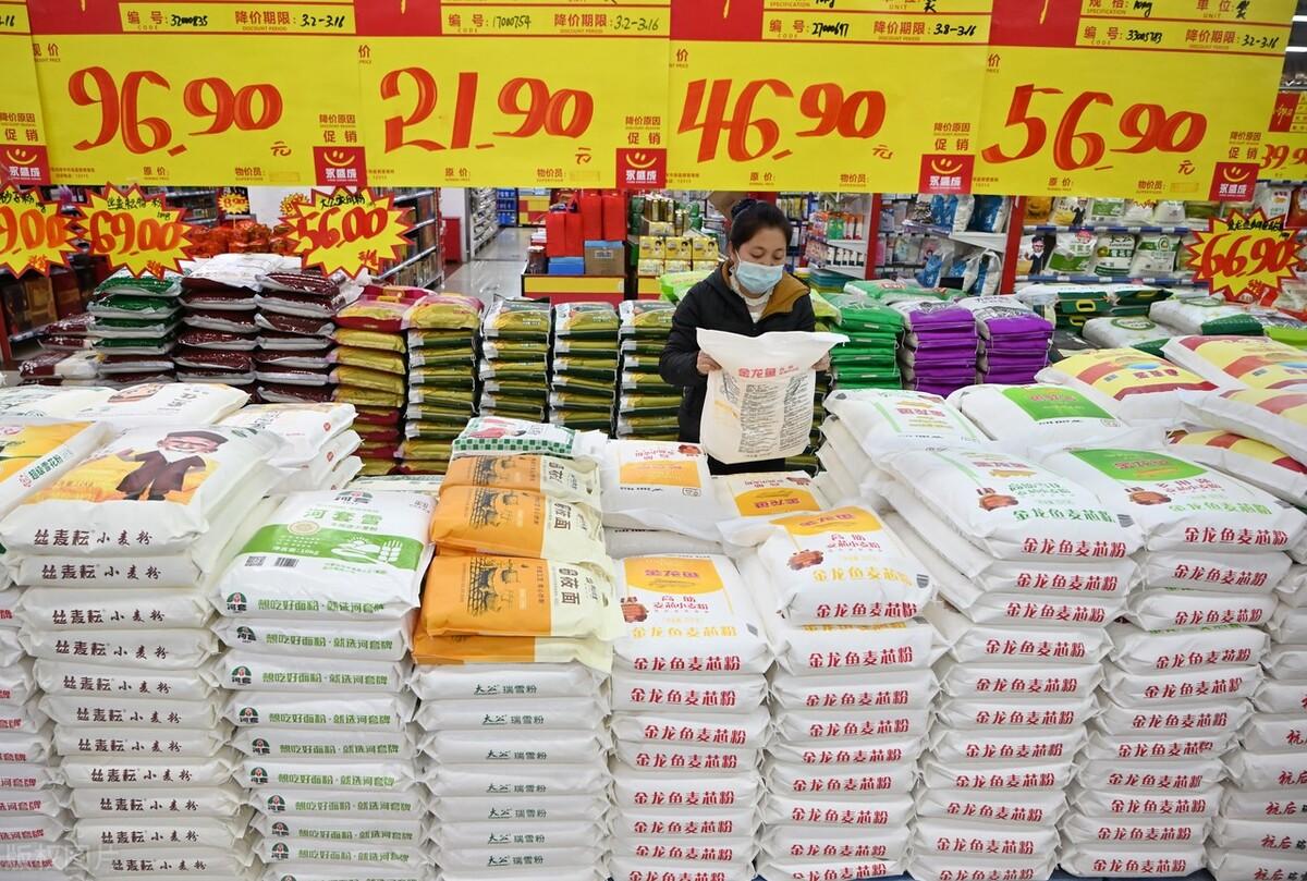 山东最新粮食价格概览及市场动态分析