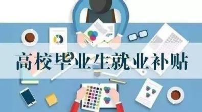 最新就业政策及其对我省的影响概览