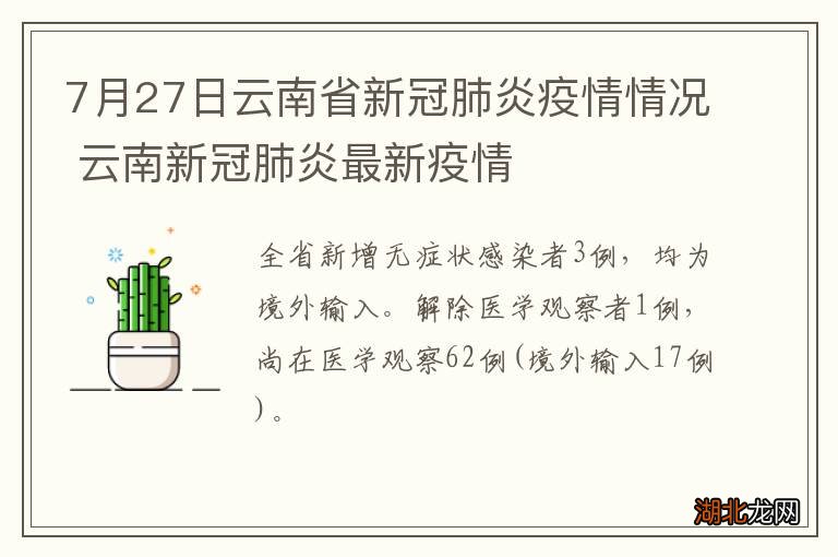 云南新型肺炎最新动态，抗击疫情，守护家园的坚定步伐