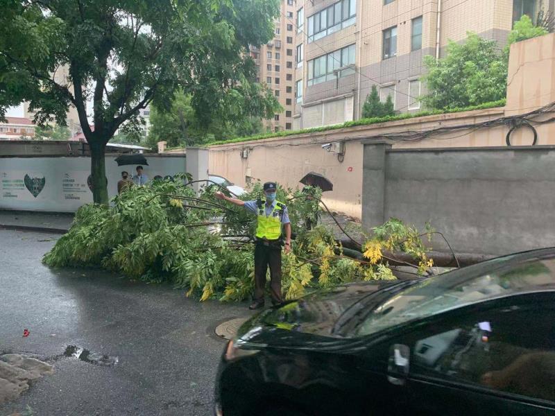 陕西延安暴雨预警升级，全力保障人民安全应对暴雨威胁