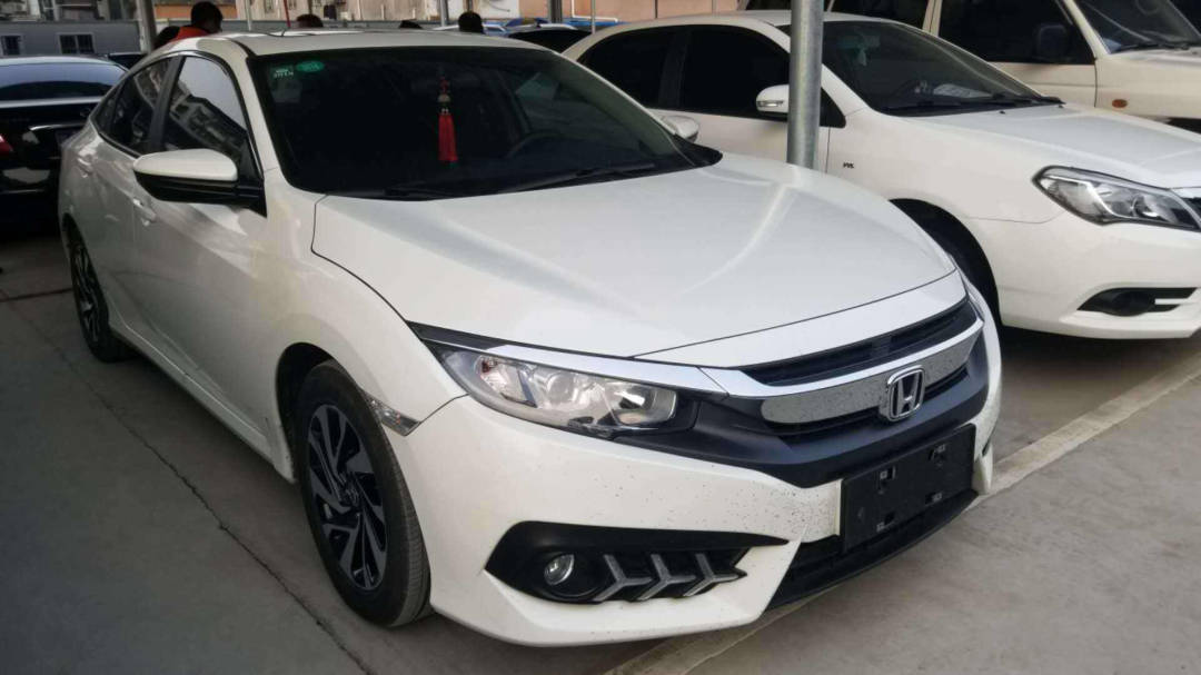 知解最新版的魅力与价值探索
