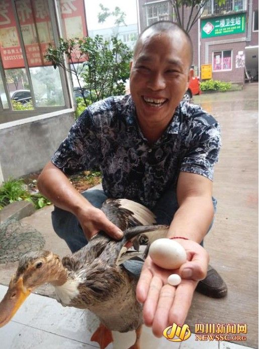 老鸭窝最新动态探索，发现与更新的足迹