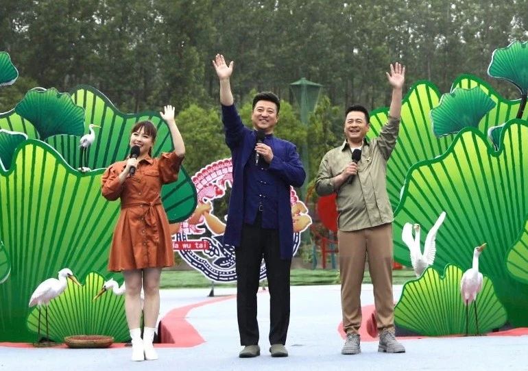 乘风破浪的姐姐们，最新篇章揭秘