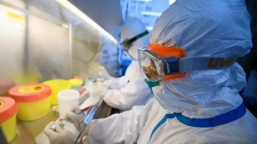中国最新疫苗研究突破与创新，探索新型疫苗技术