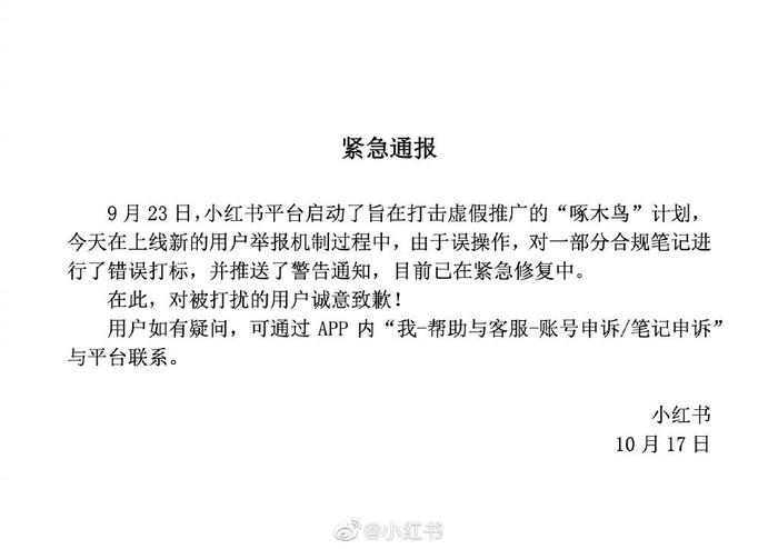 小红书最新处罚通知引发的深度探讨与反响