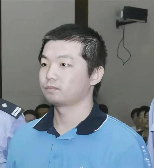 杨佳案深度揭秘，探究案件细节与后续发展进展
