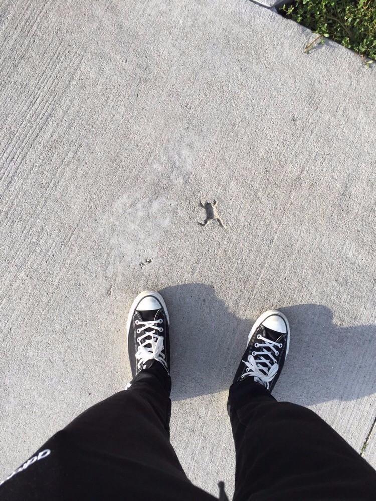 每日一冷，探索冷知识的魅力与重要性
