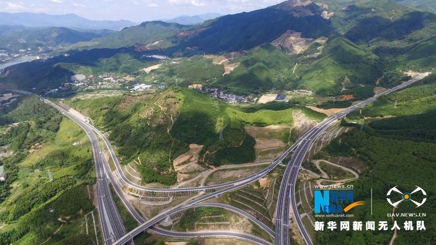 延平最新消息全面解析与解读