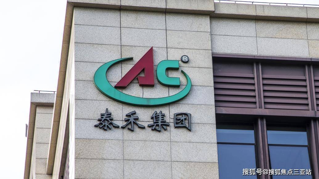 泰禾集团最新状况深度解析