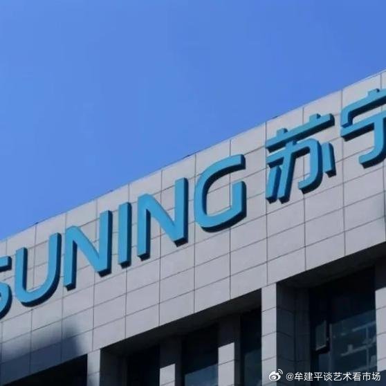 苏宁引领零售变革，迈向数字化未来，最新消息揭秘发展动向
