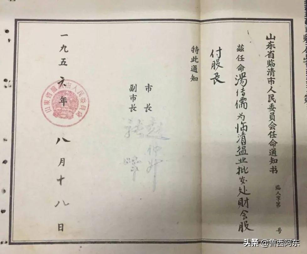 临清最新地图，揭示城市新面貌与发展蓝图