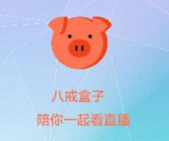 八戒盒子引领数字时代全新体验风潮！