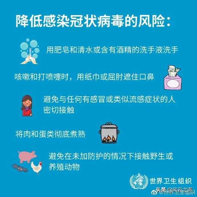 全球面临的新型冠型病毒挑战与应对策略