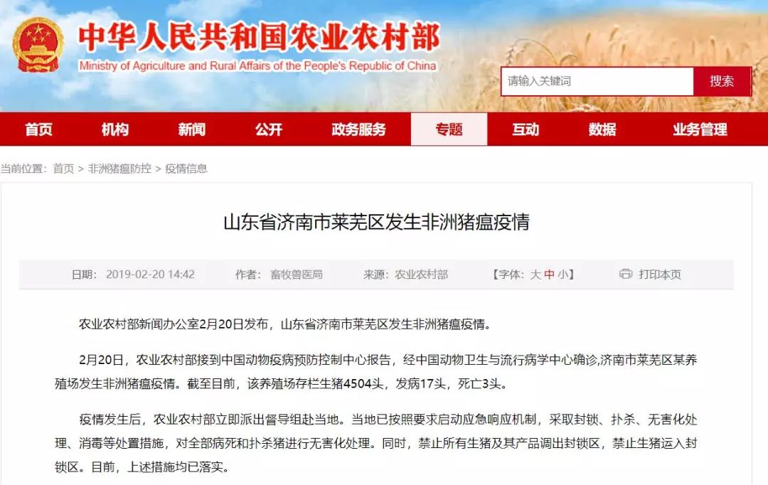 全球疫情动态更新，最新瘟情新闻与应对策略