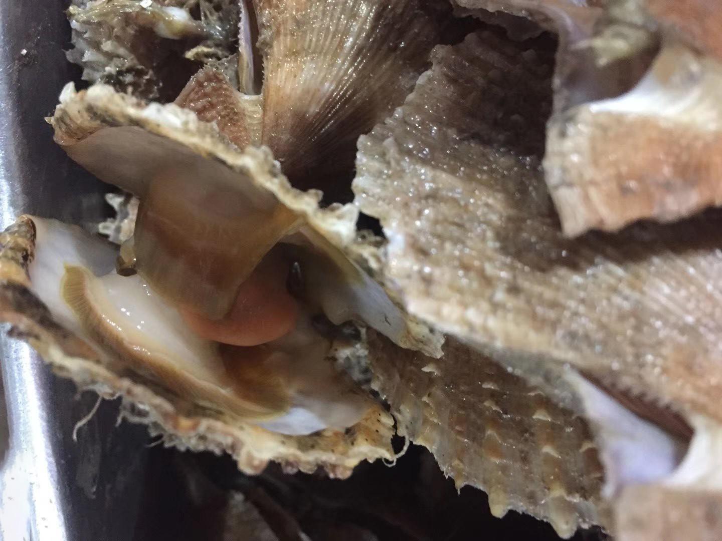 最新市场经济趋势，机遇与挑战并存