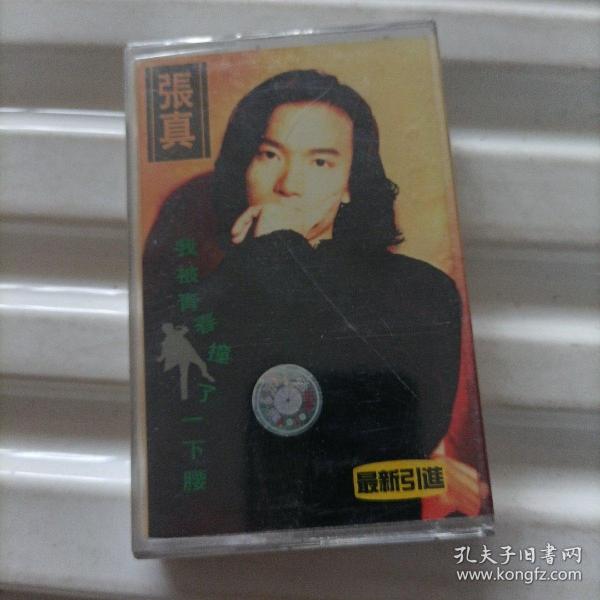 张真最新动态，揭开未来无限可能性之门
