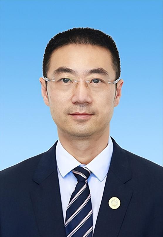 陈志宁的最新职务及其影响力概览