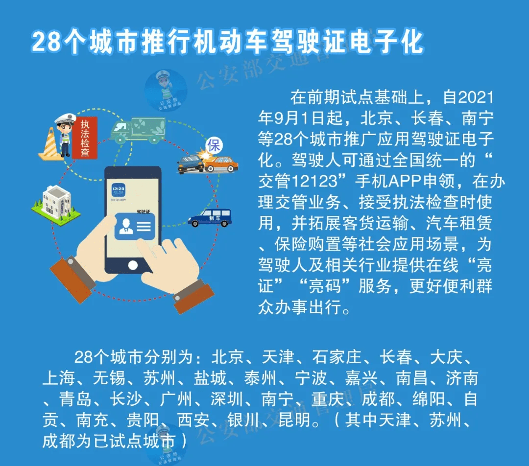 2025新澳正版资料大全数据导向、落实与策略