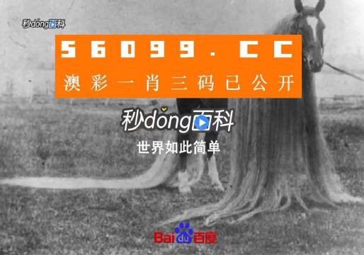 澳门一肖一码一必中一肖同舟前进专家解析意见