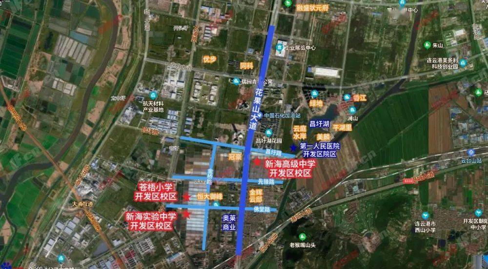 新澳门2025年正版免费公开最新调查、落实与策略