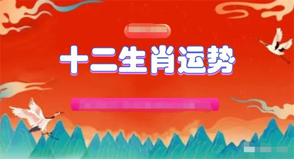 2025年一肖一码一中一特精细解读解析