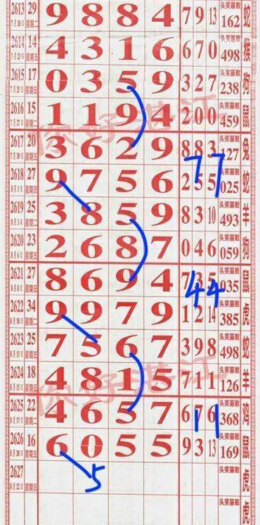 最准一肖一码一一子中特7955深入数据策略解析