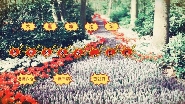 宗政雅诗 第2页