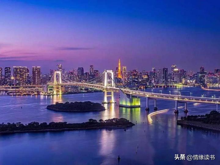 2025年澳门历史记录全面释义、解释与落实