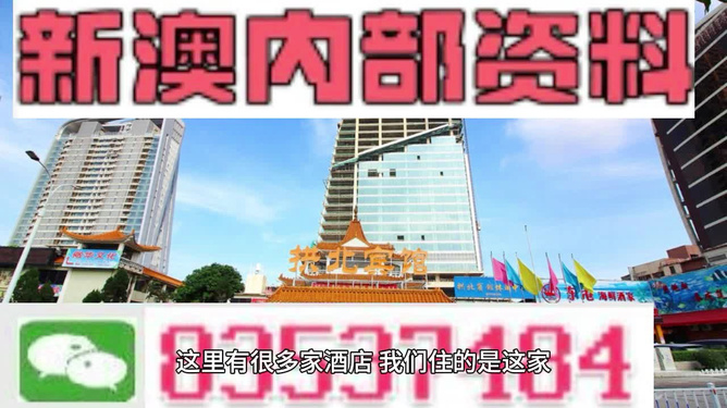 新澳内部免费爆料精选解析、落实与策略