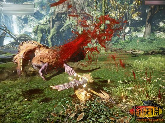 怪猎最新显血功能深度解析，游戏新特性与玩家体验探讨
