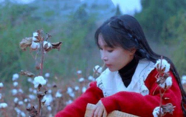 李子柒最新视频，文化与技术的完美融合展现