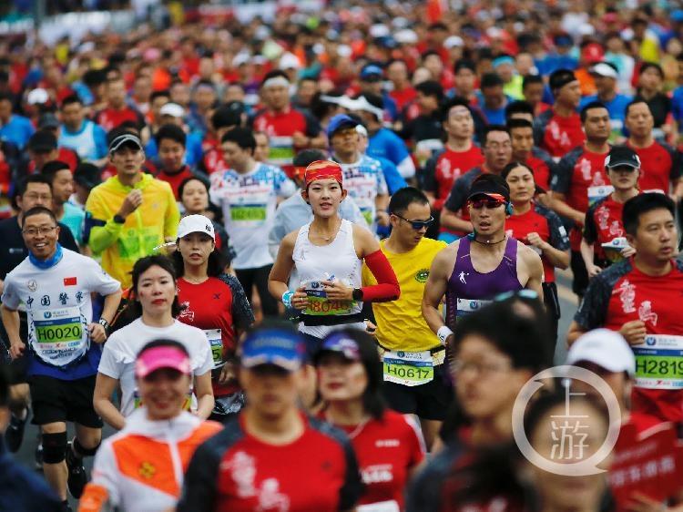 南滨路最新信息概览，动态、数据与细节全解析