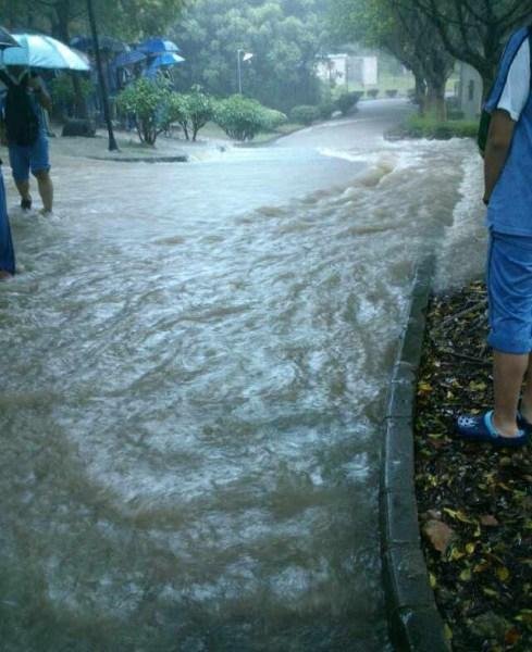 广东珠海暴雨实时更新，最新天气状况警报