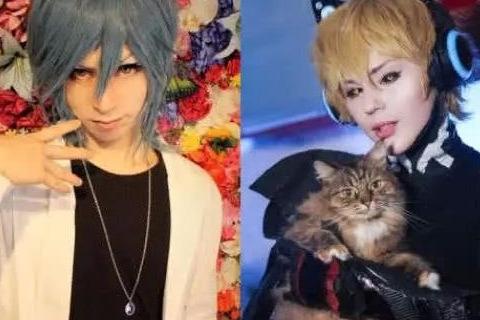 猫耳最新版，全新体验与独特魅力大揭秘