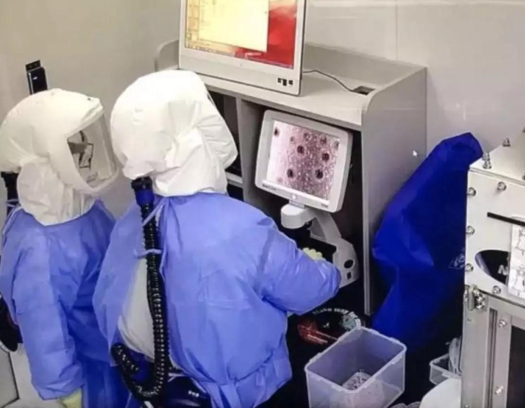 最新疫情科学家，无畏先锋，照亮希望灯塔