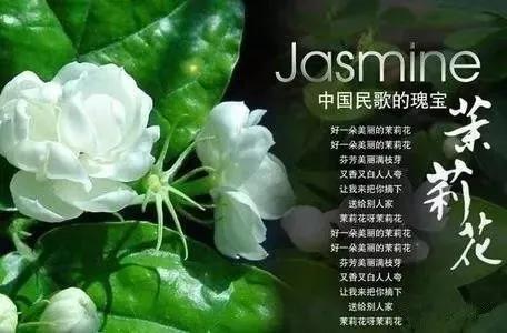 小洲最新歌曲，音乐新潮涌现之夜