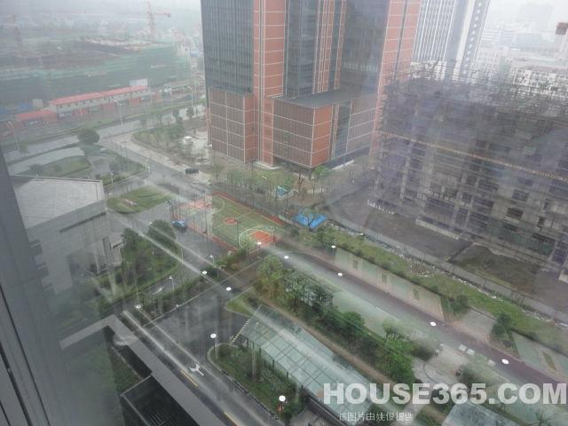 双城区天气预报与生活指南更新发布