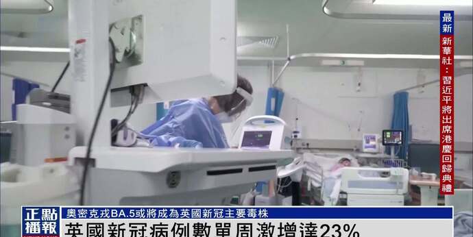 日本肺炎疫情最新动态，挑战与应对策略解析