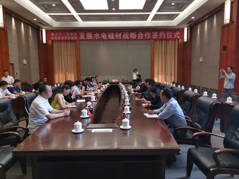 中能硅业最新发展动态与行业影响力解析