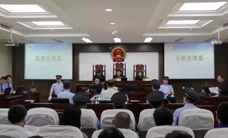 山东最新案件深度剖析