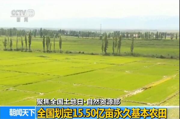 久草最新高清，自然之美的视觉盛宴探索