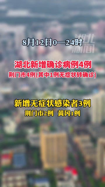 湖北通报新型肺炎最新情况，疫情动态与防控措施概述