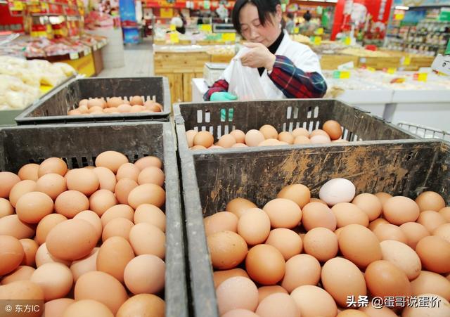 2025年3月 第533页