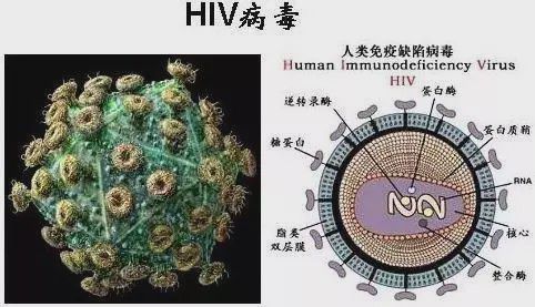 斯里兰卡病毒疫情最新概况及其社会影响探究