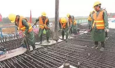 青岛最新信息概览，城市动态速递