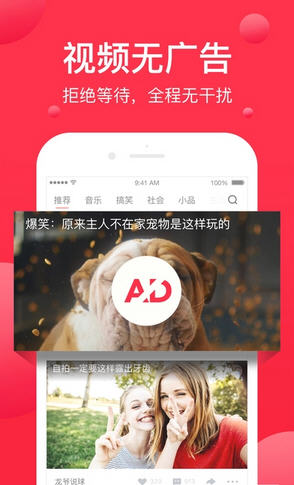 西瓜头条最新版，重塑社交娱乐新体验