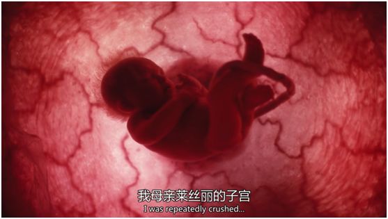 探索与警示，最新三级黄色内容的深度解析