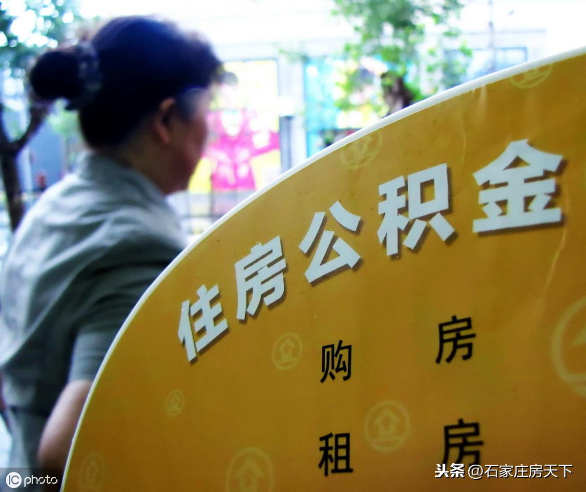 最新政策要闻，引领未来发展的关键指引