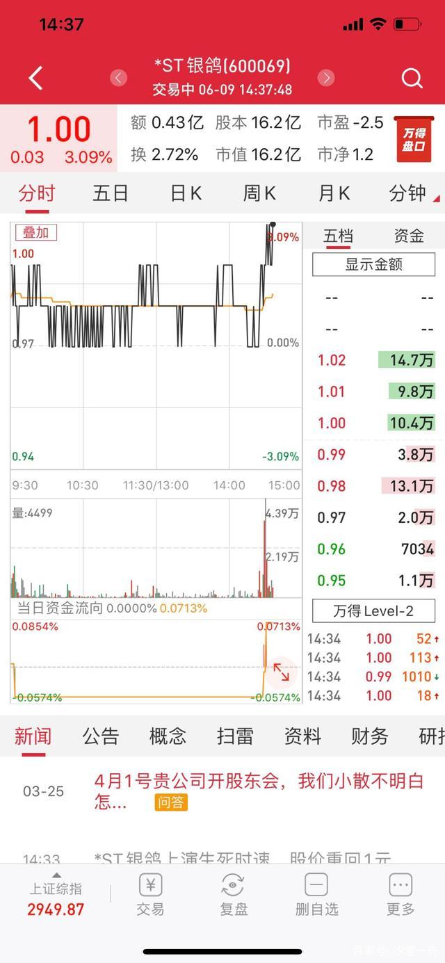 ST银鸽引领变革，共创未来新篇章