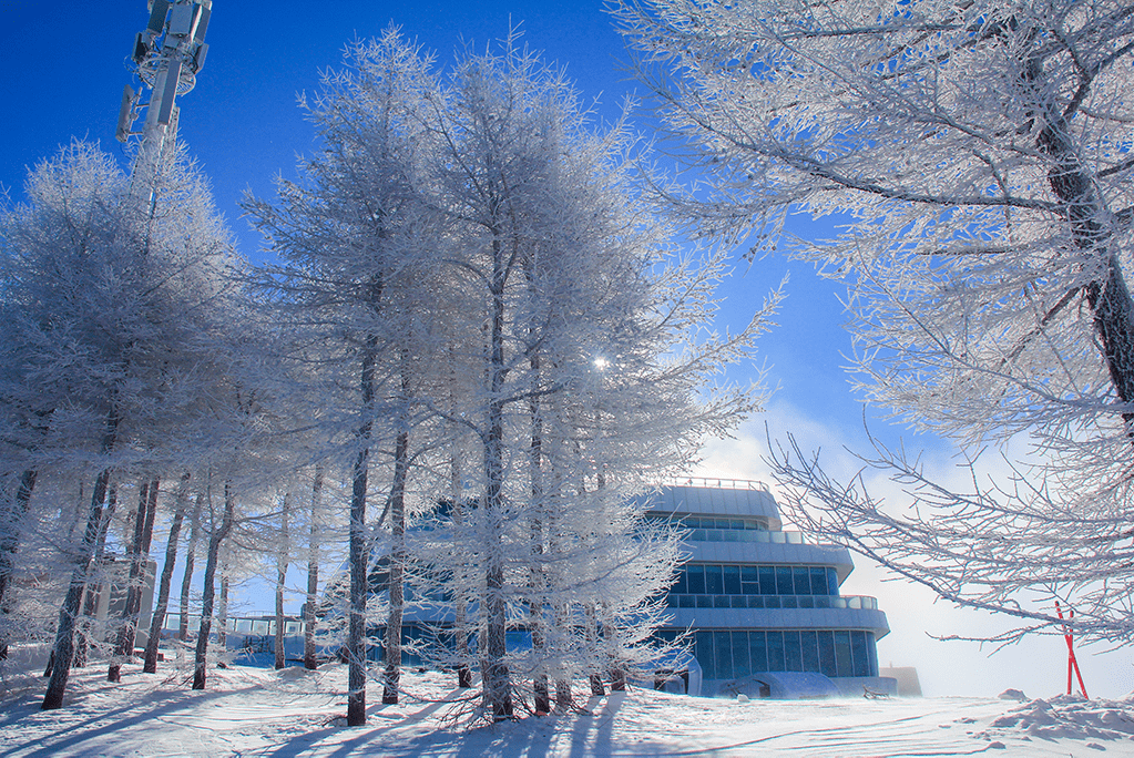 万龙最新雪图，冰雪世界的绝美风光探索